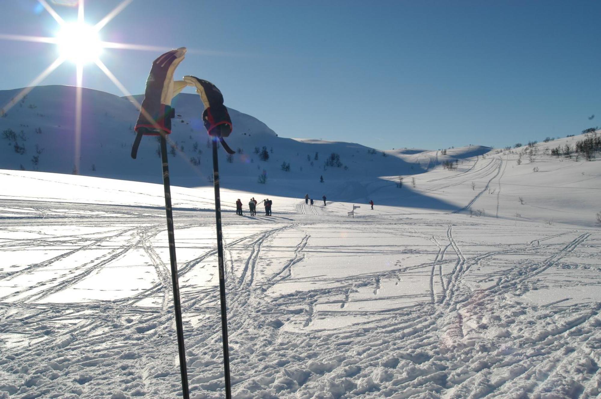 Rauland Hogfjellshotell エクステリア 写真